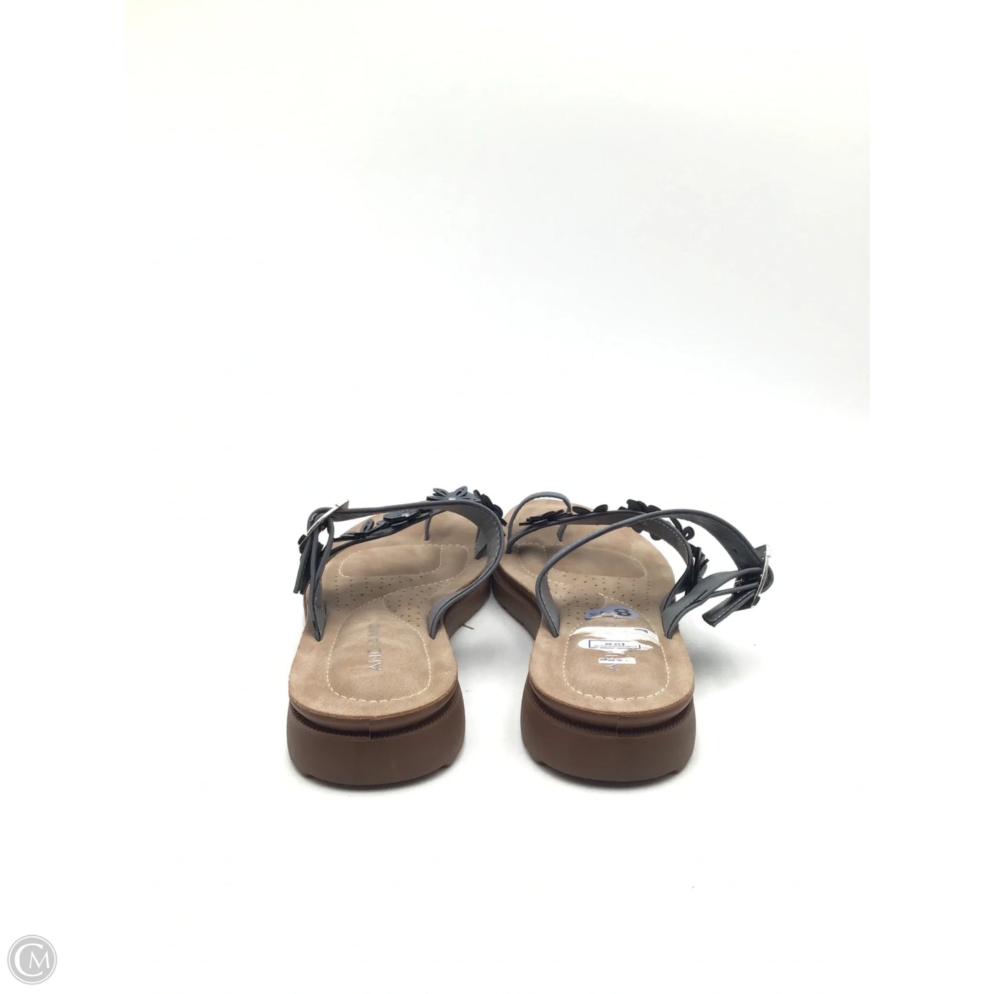 Sandals Flats By Clothes Mentor In Grey, Size: 8.5