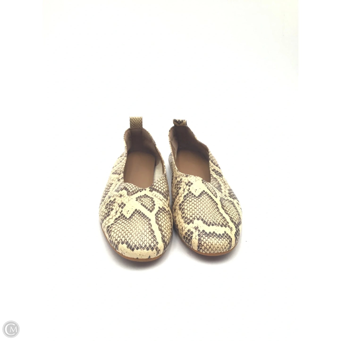 Shoes Flats By Everlane In Snakeskin Print, Size: 6