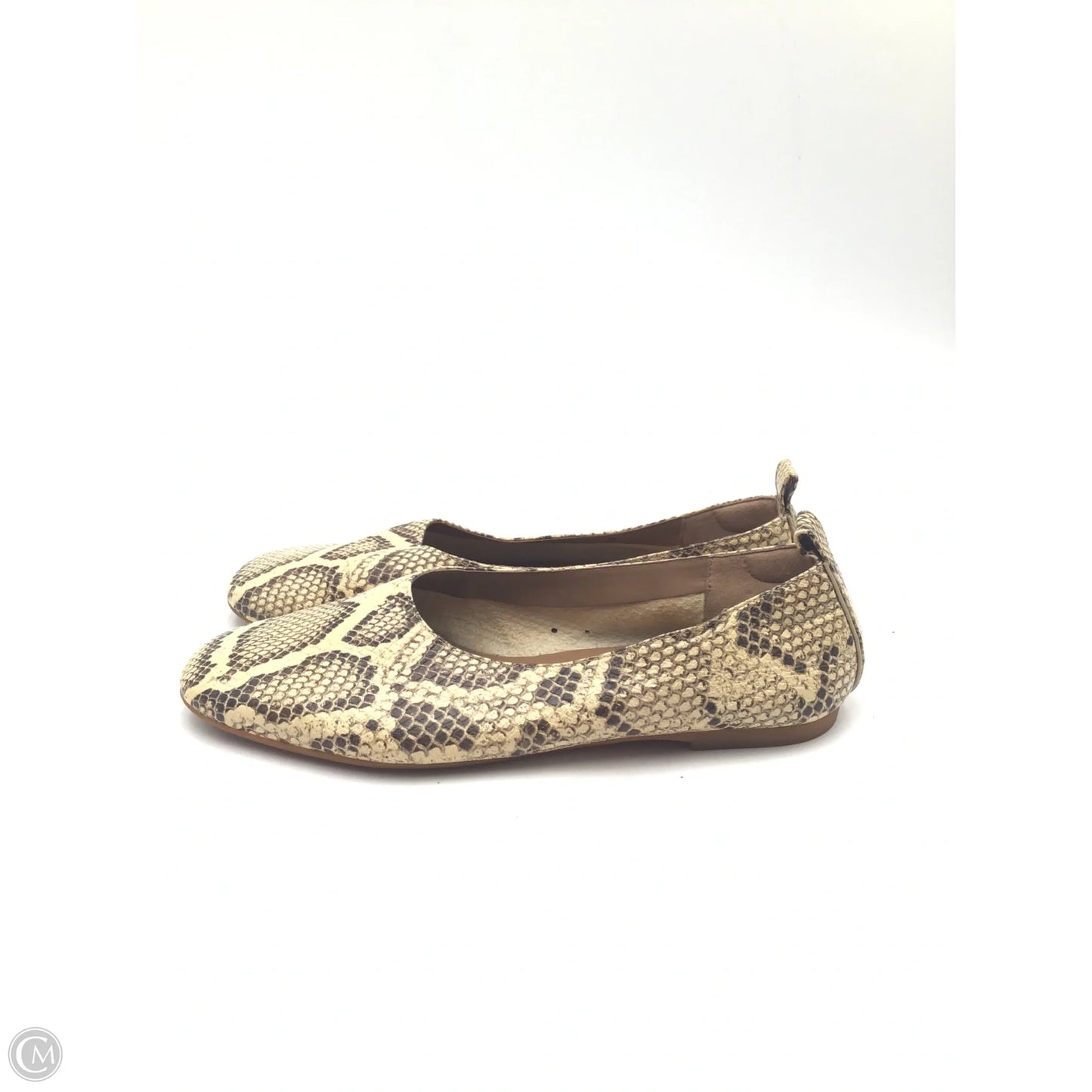 Shoes Flats By Everlane In Snakeskin Print, Size: 6