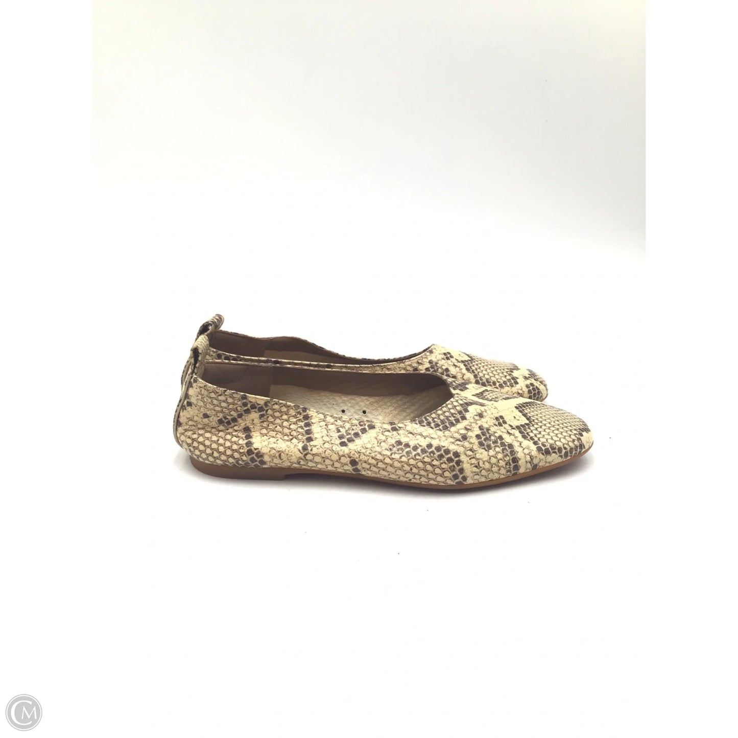 Shoes Flats By Everlane In Snakeskin Print, Size: 6