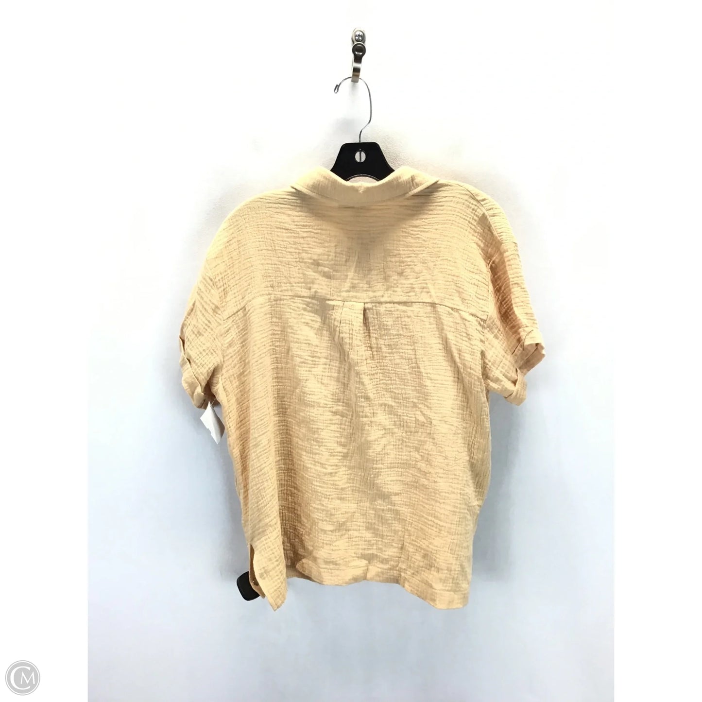 Top Short Sleeve By Fashion Nova In Tan, Size: L