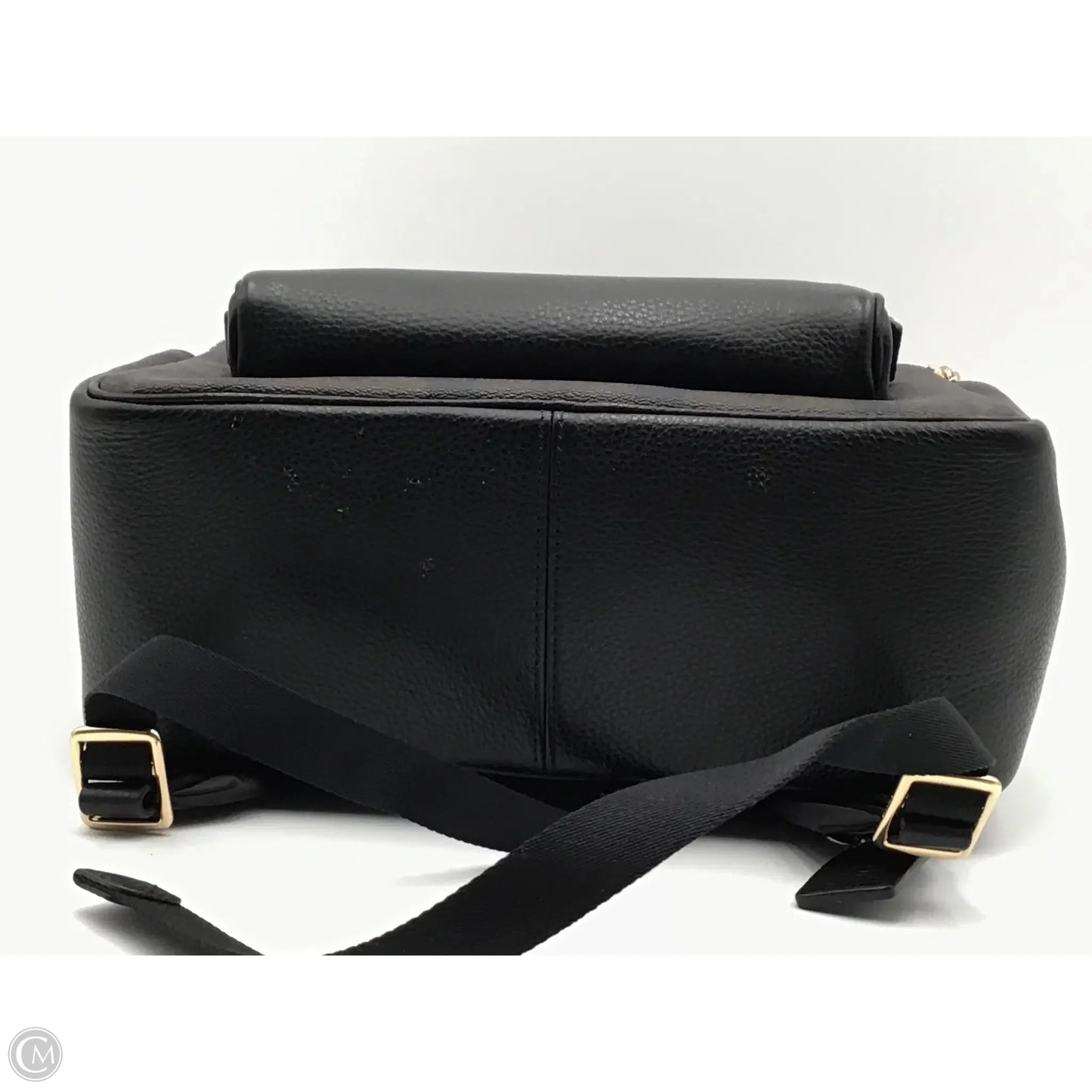 Backpack Designer By Coach, Size: Medium
