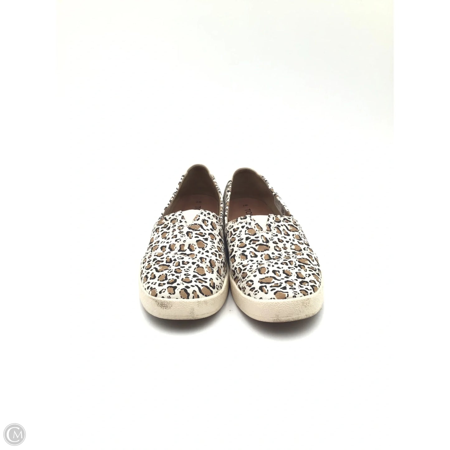 Shoes Flats By Toms In Leopard Print, Size: 7