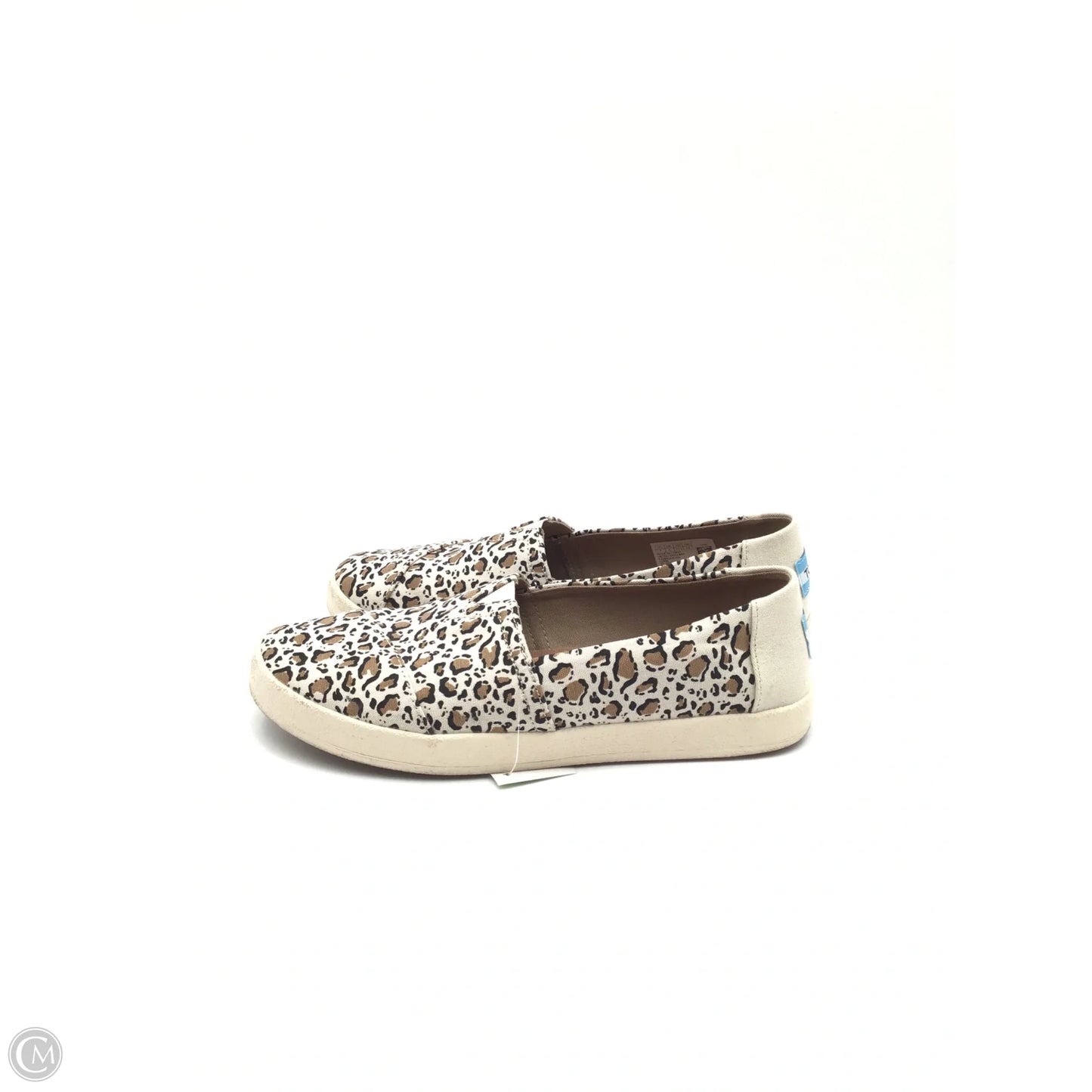 Shoes Flats By Toms In Leopard Print, Size: 7