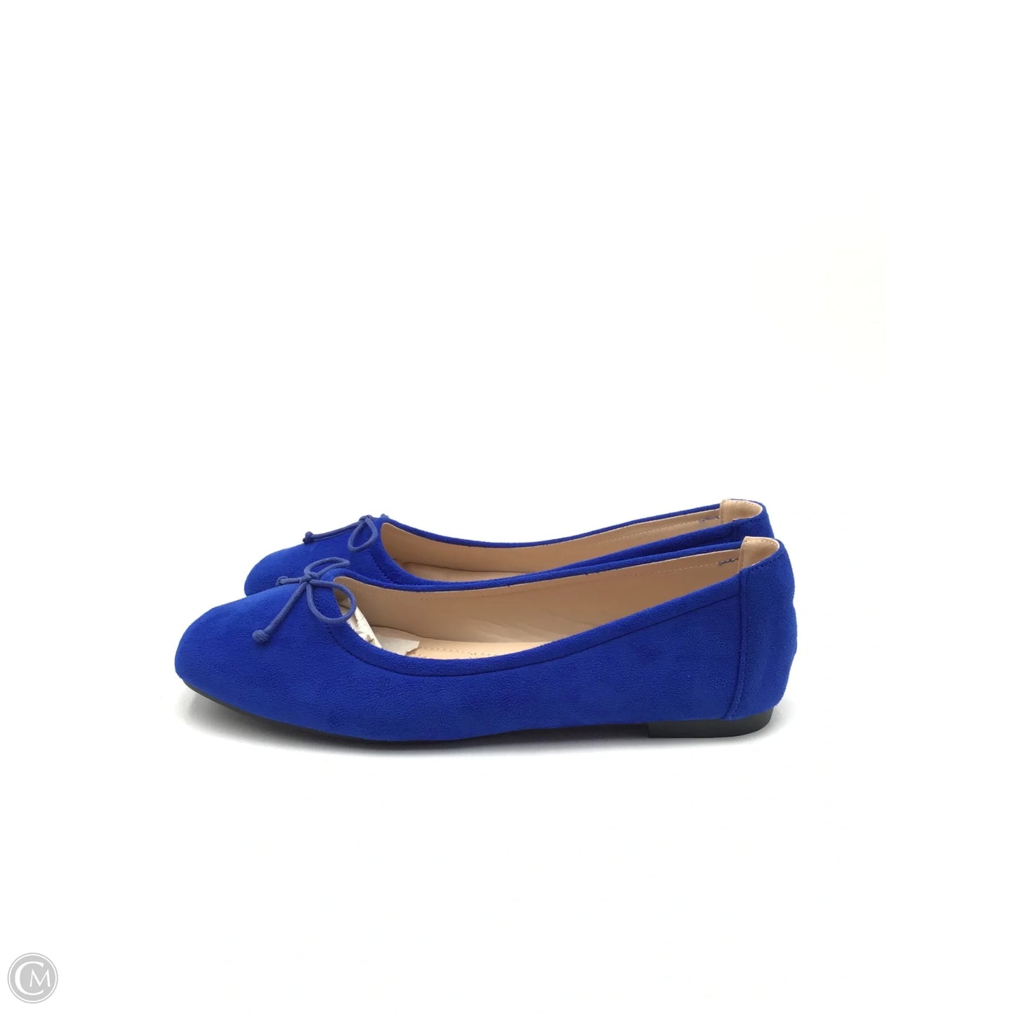 Shoes Flats By Clothes Mentor In Blue, Size: 10