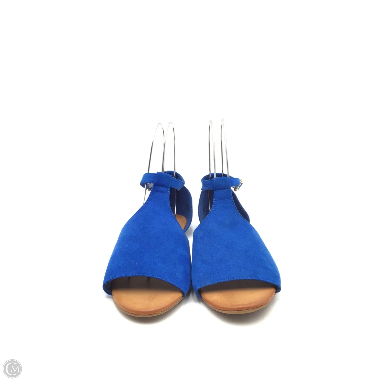 Sandals Flats By Rouge In Blue & Tan, Size: 10