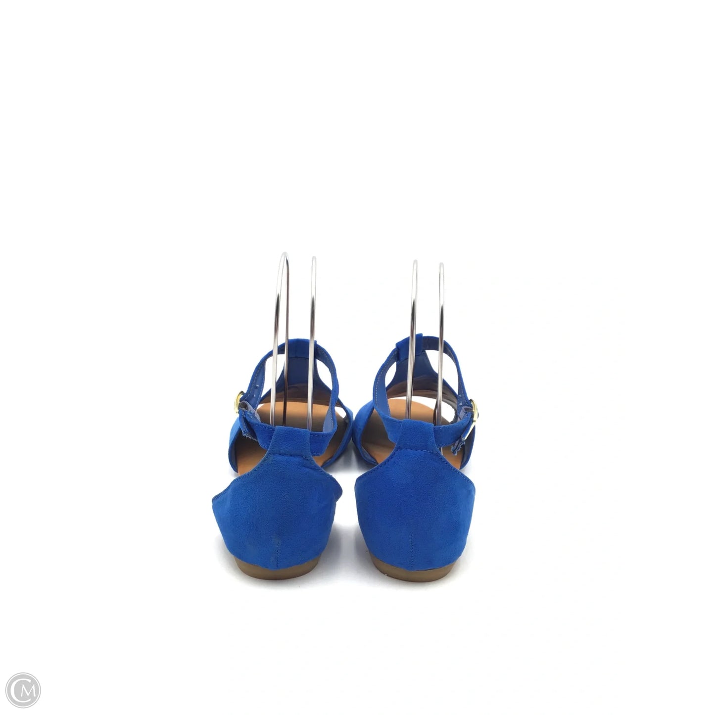 Sandals Flats By Rouge In Blue & Tan, Size: 10