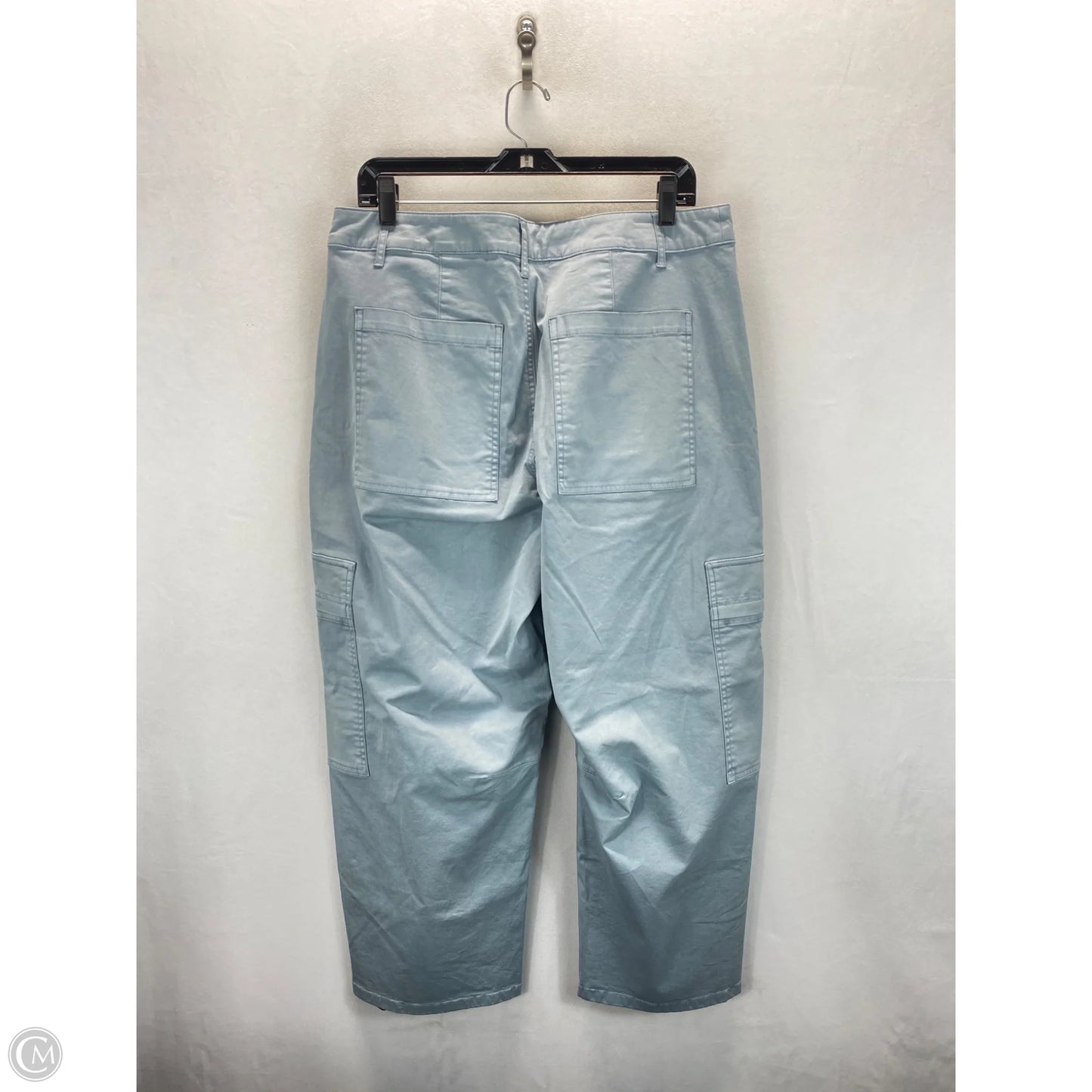 Pants Cargo & Utility By Universal Thread In Blue, Size: 12