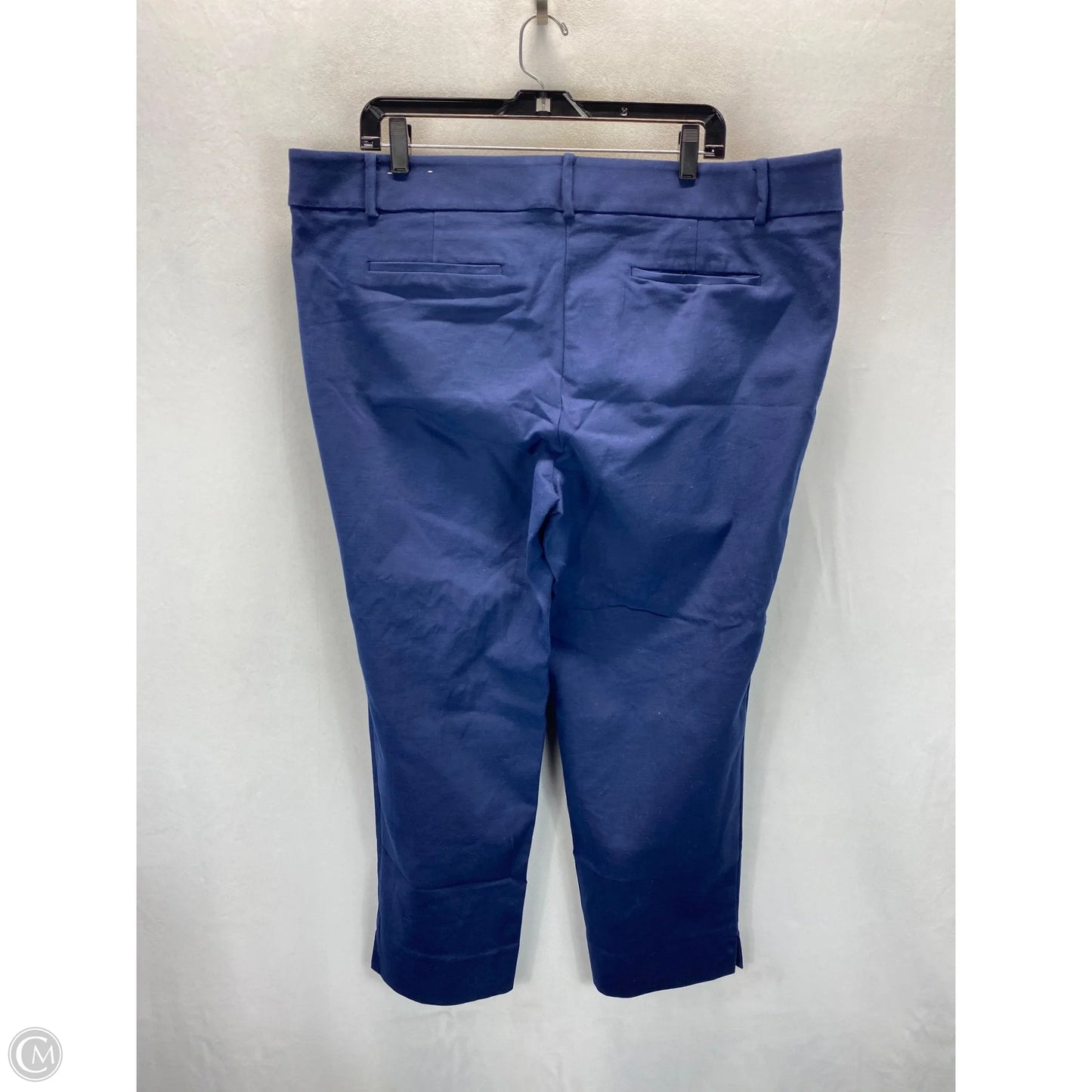 Pants Chinos & Khakis By Loft In Blue, Size: 18