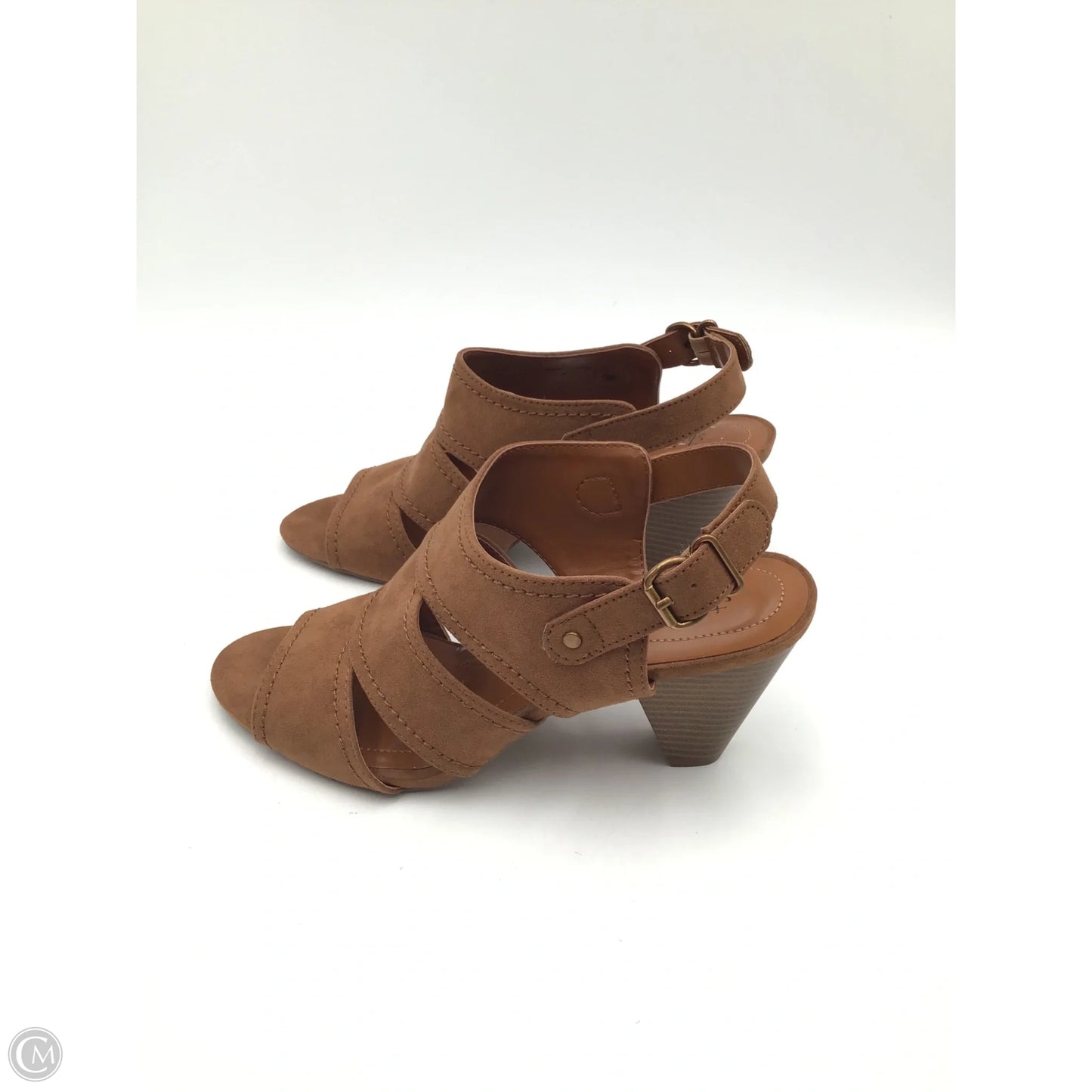 Shoes Heels Kitten By Style And Co Collection Women In Brown, Size: 9