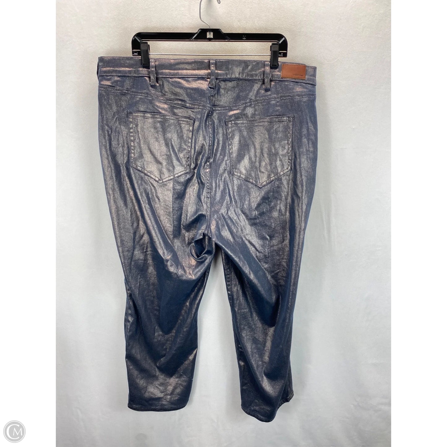 Jeans Skinny By Lands End In Silver, Size: 20