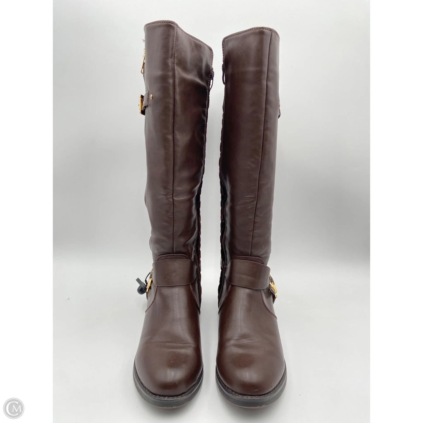 Boots Designer By Michael Kors In Brown, Size: 9