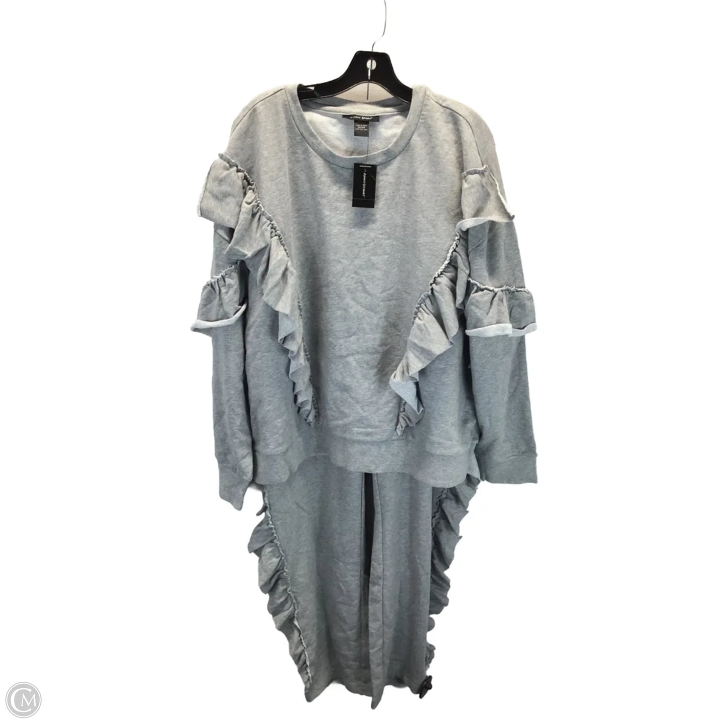 Pants Set 2pc By Ashley Stewart In Grey, Size: 2x