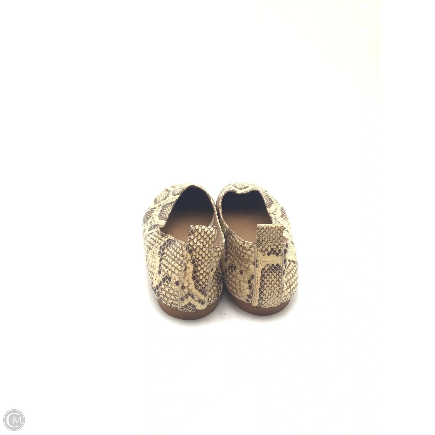 Shoes Flats By Everlane In Snakeskin Print, Size: 6