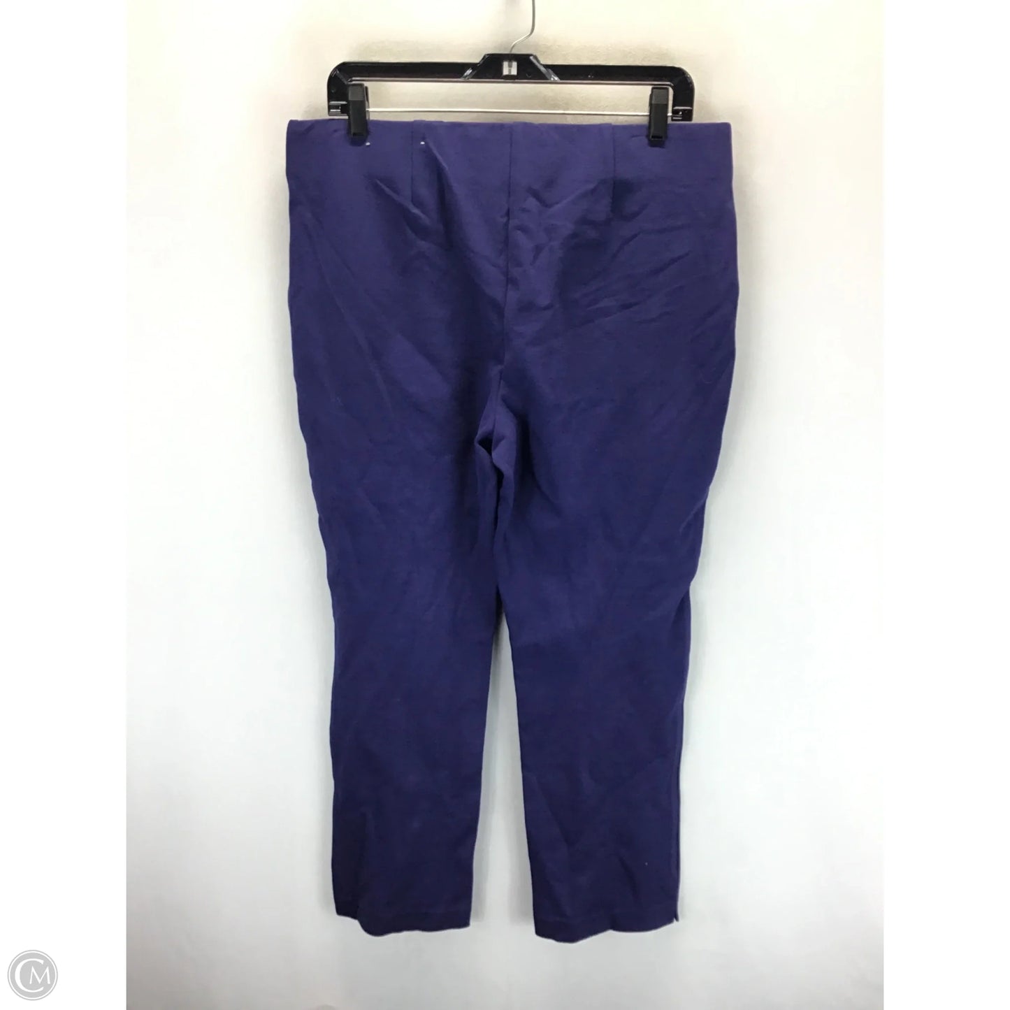 Pants Other By Chicos In Blue, Size: L
