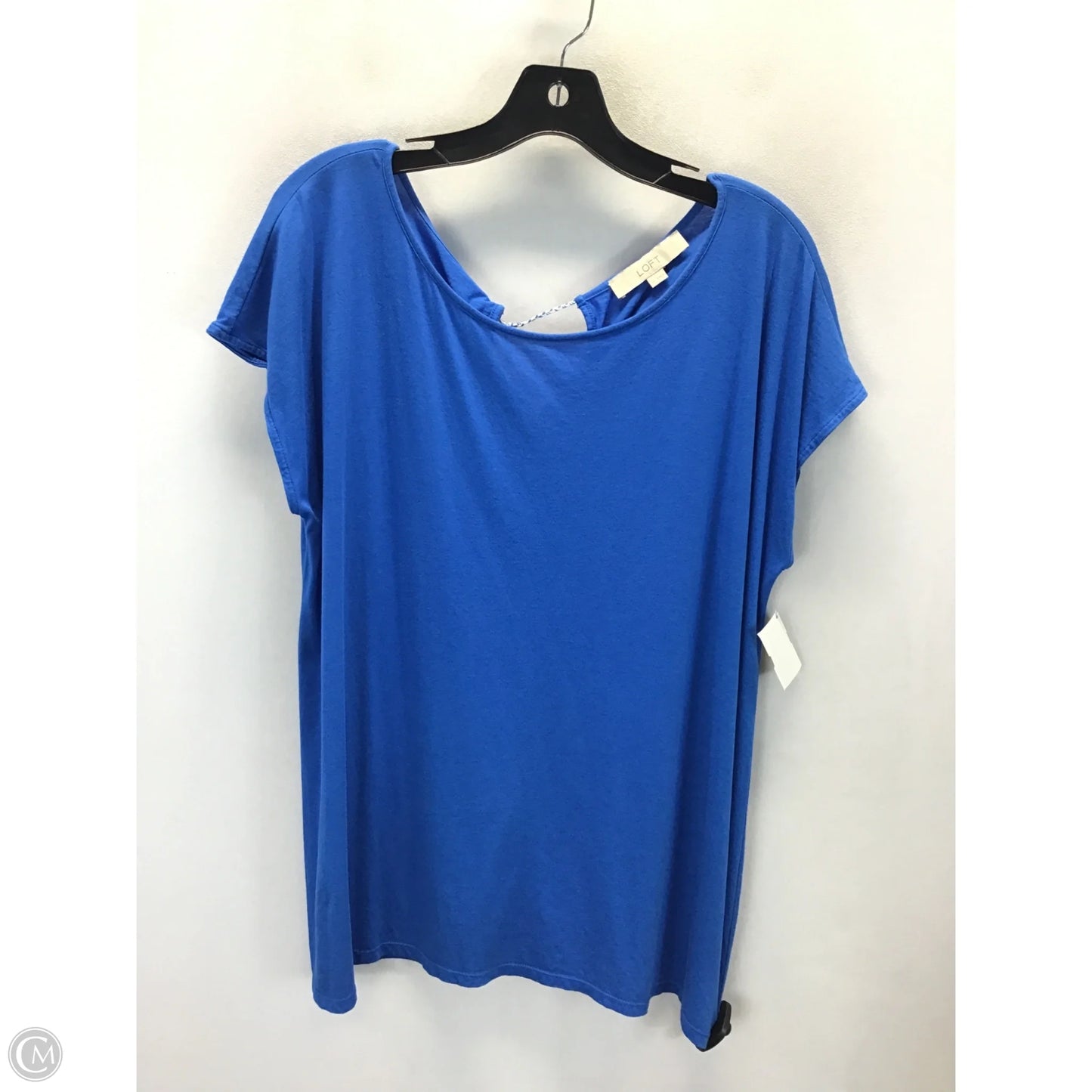 Top Sleeveless Basic By Loft In Blue, Size: Xl