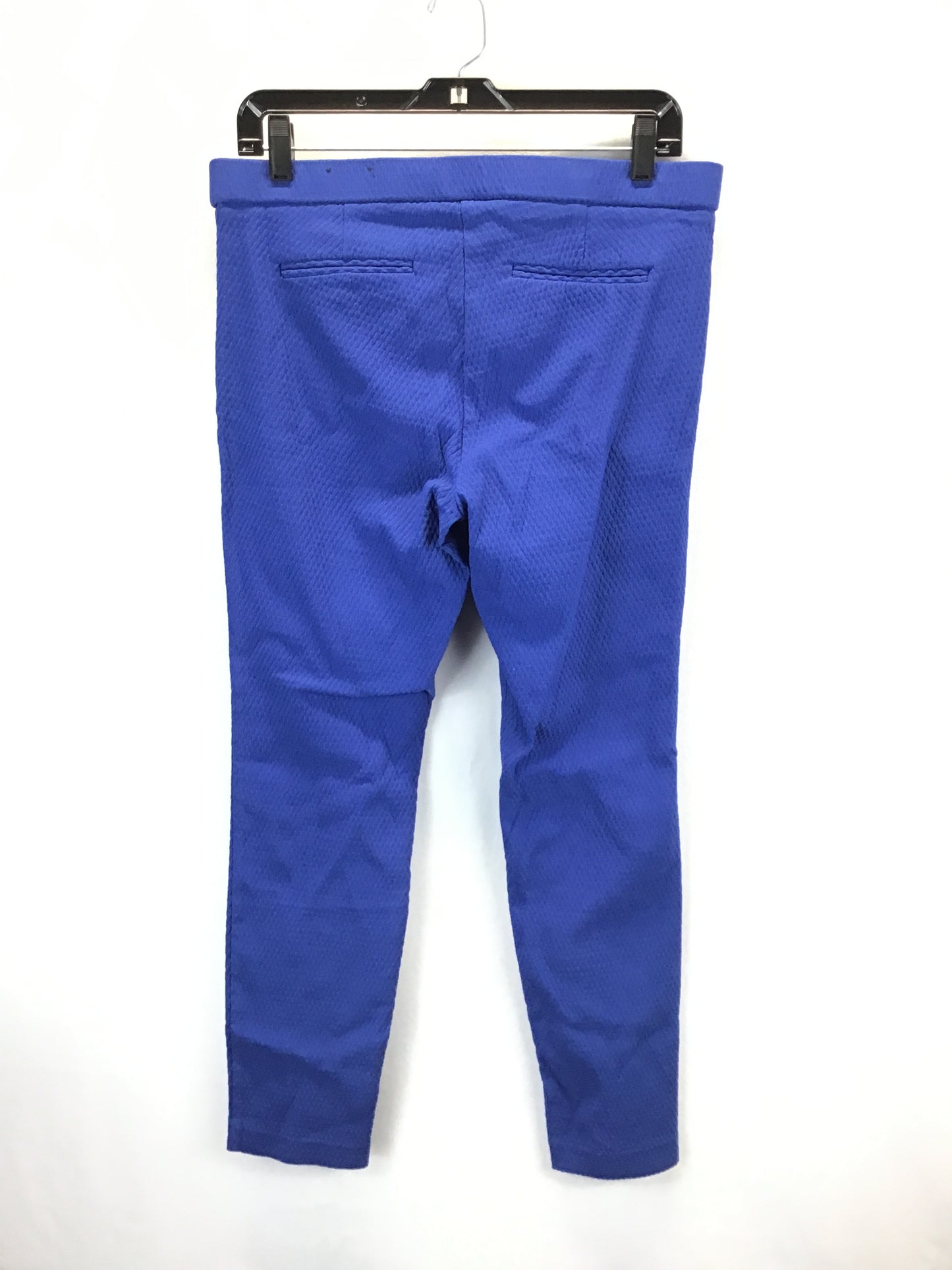 Pants Ankle By Dalia In Royal Blue, Size: 12