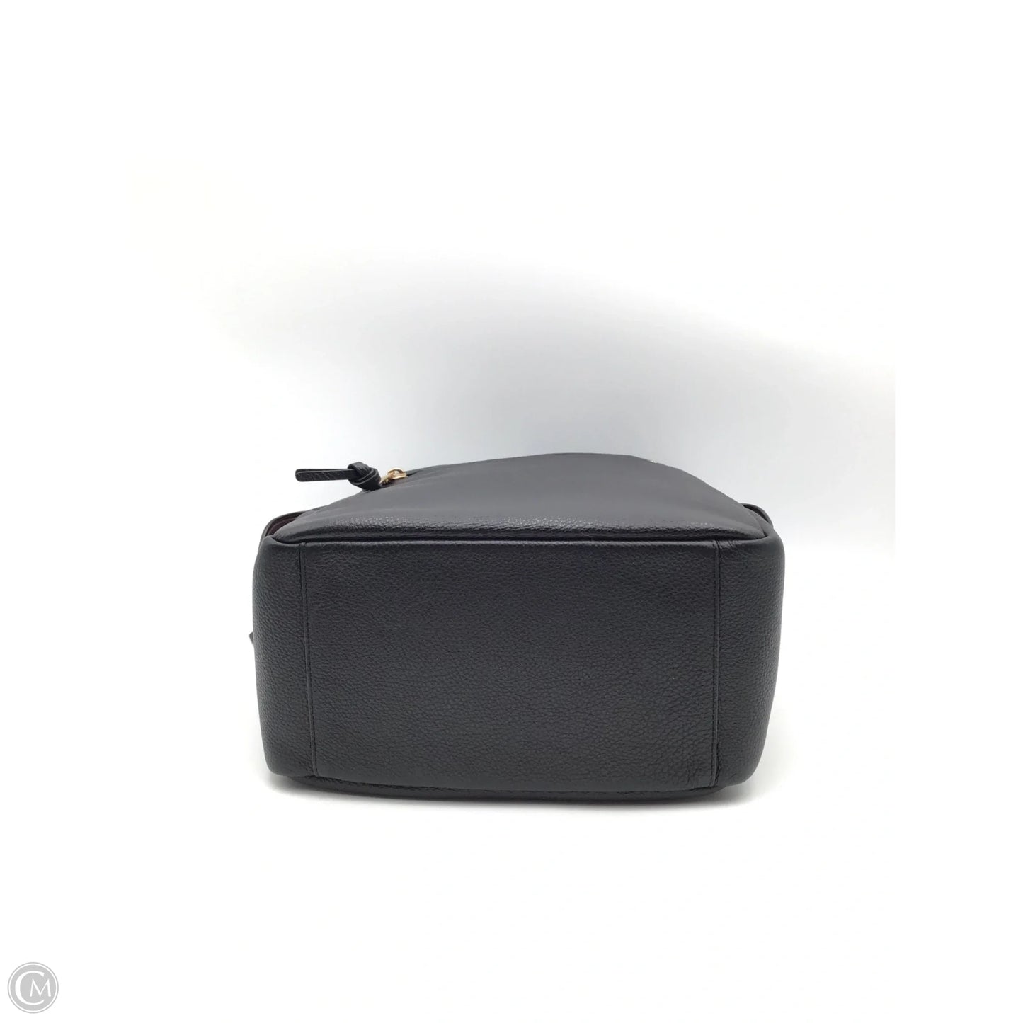 Handbag Designer By Coach, Size: Large