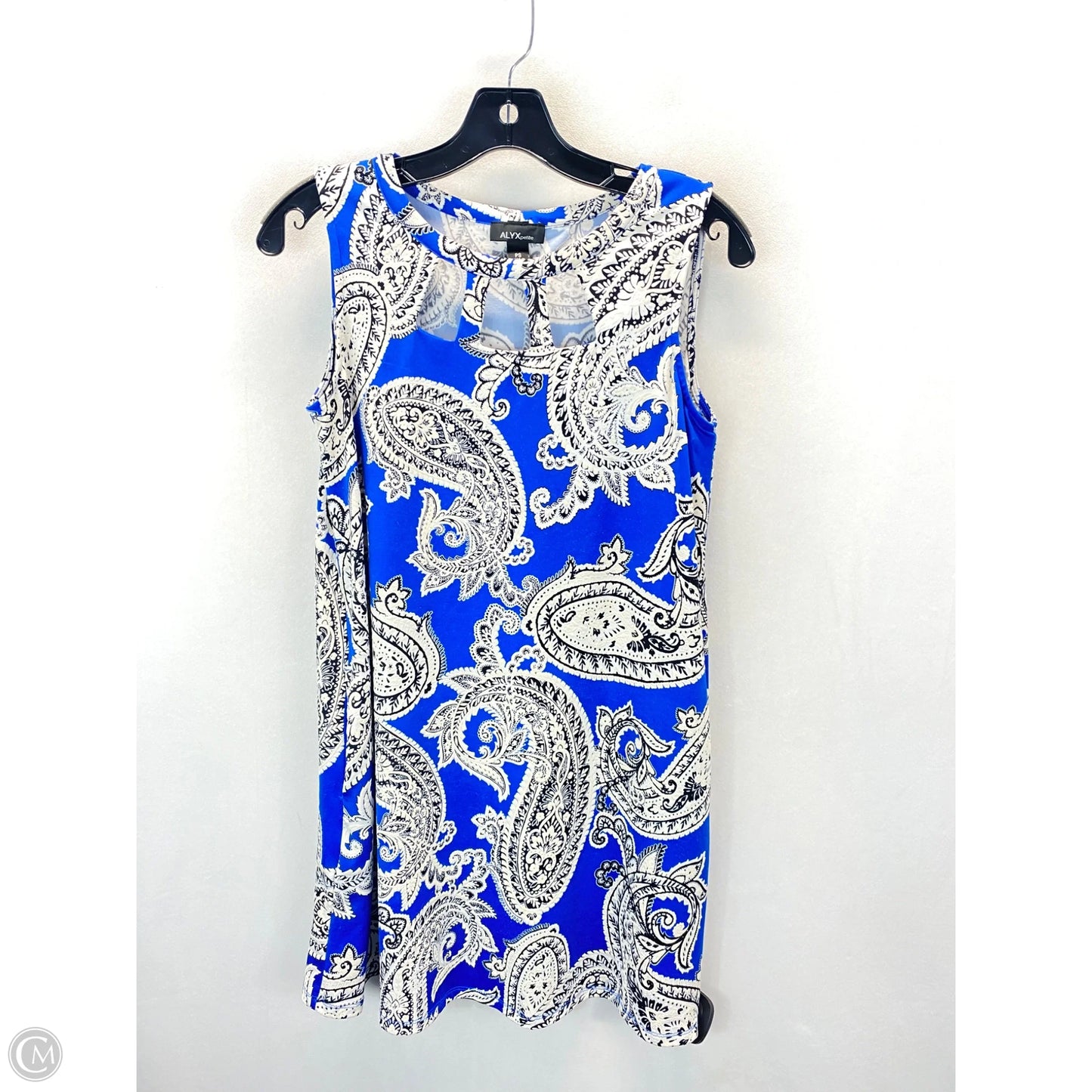 Tunic Sleeveless By Alyx In Blue & White, Size: S