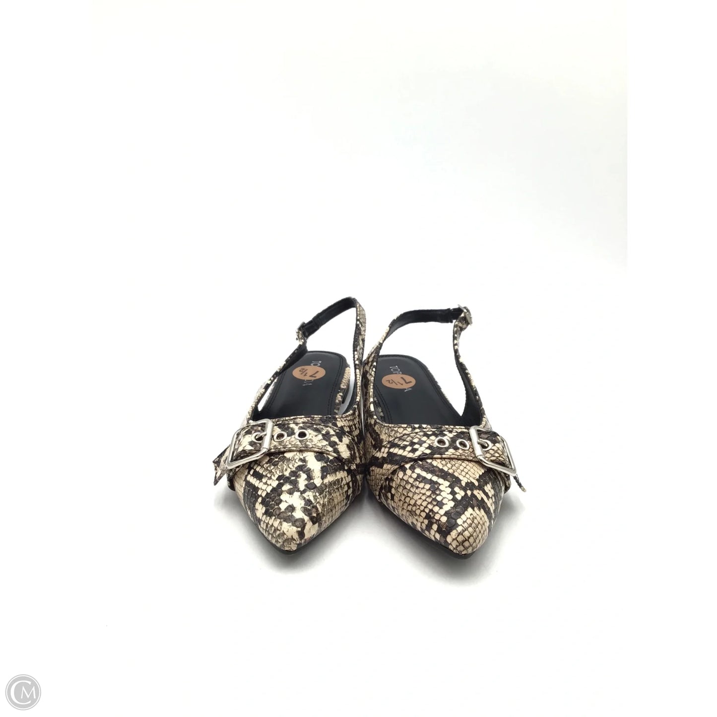 Shoes Flats By Top Moda In Snakeskin Print, Size: 7.5