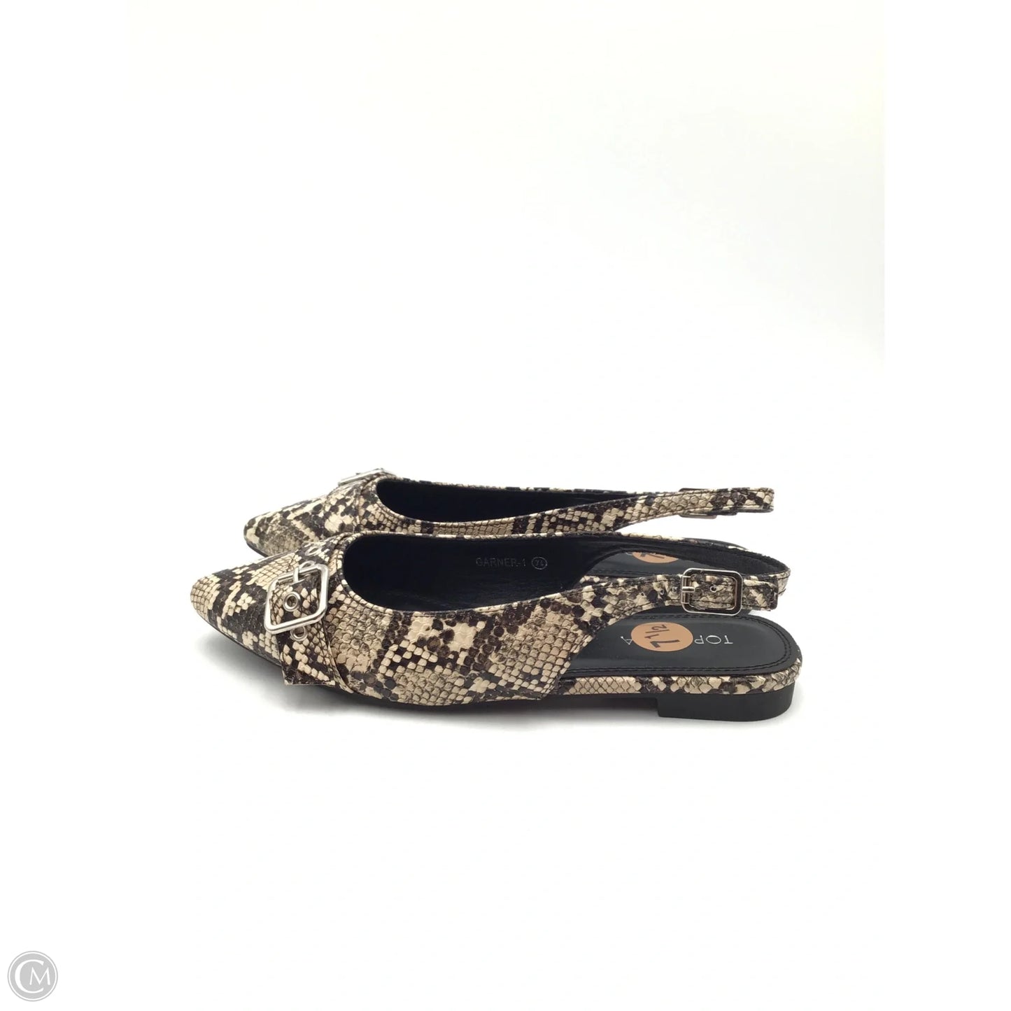 Shoes Flats By Top Moda In Snakeskin Print, Size: 7.5