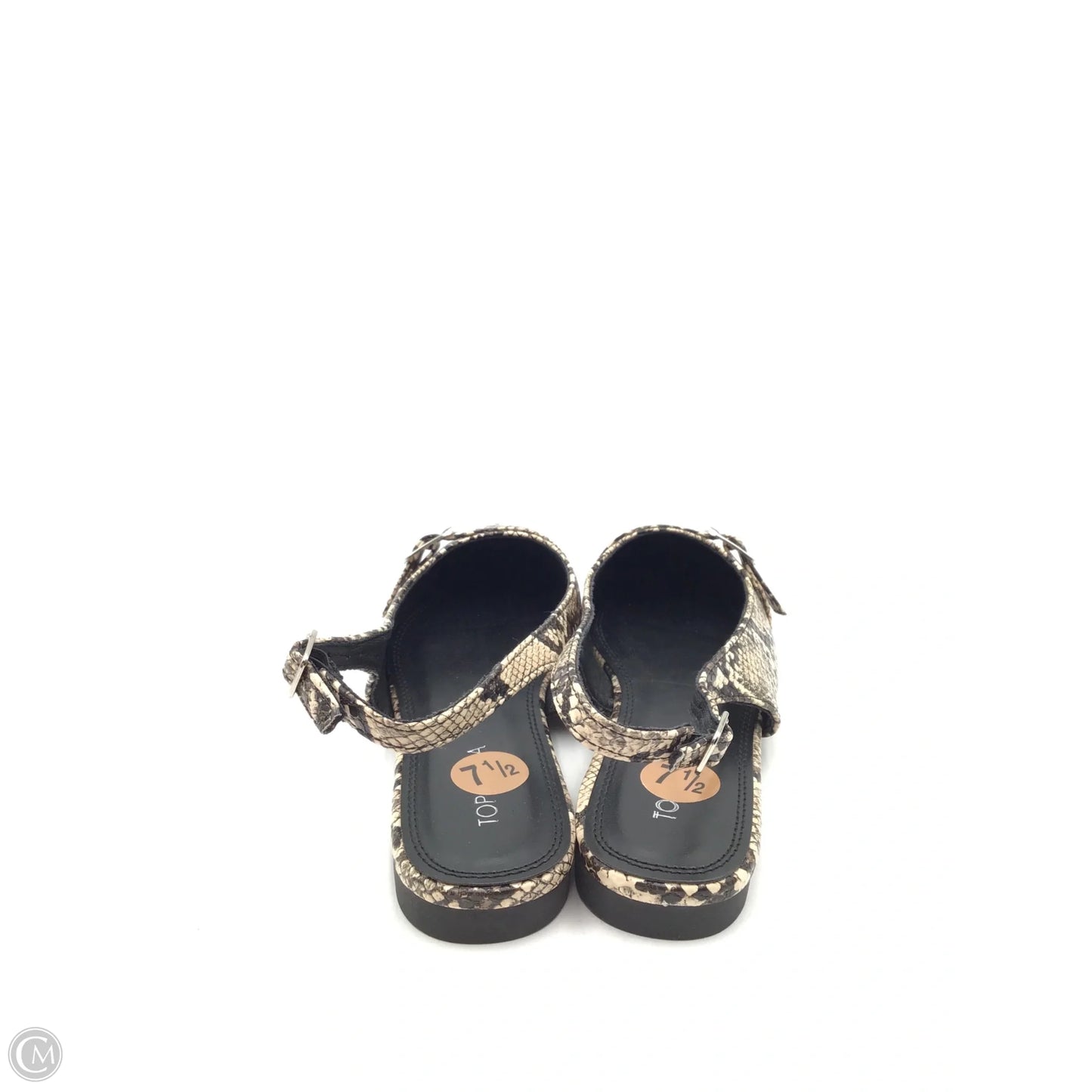 Shoes Flats By Top Moda In Snakeskin Print, Size: 7.5