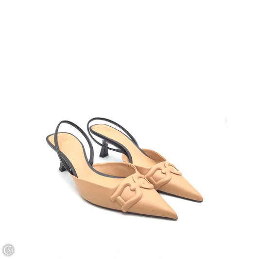 Shoes Heels Kitten By Zara In Black & Tan, Size: 10