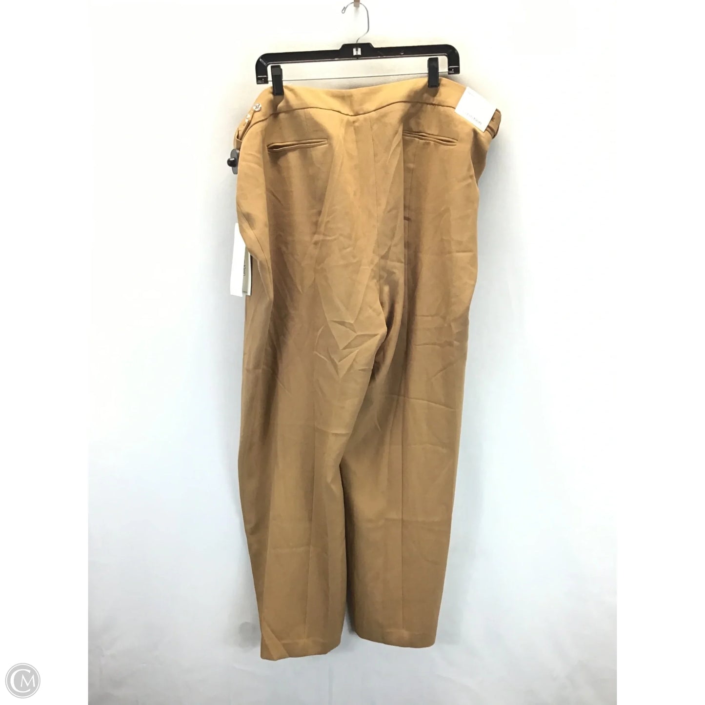 Pants Other By Loft In Tan, Size: 22