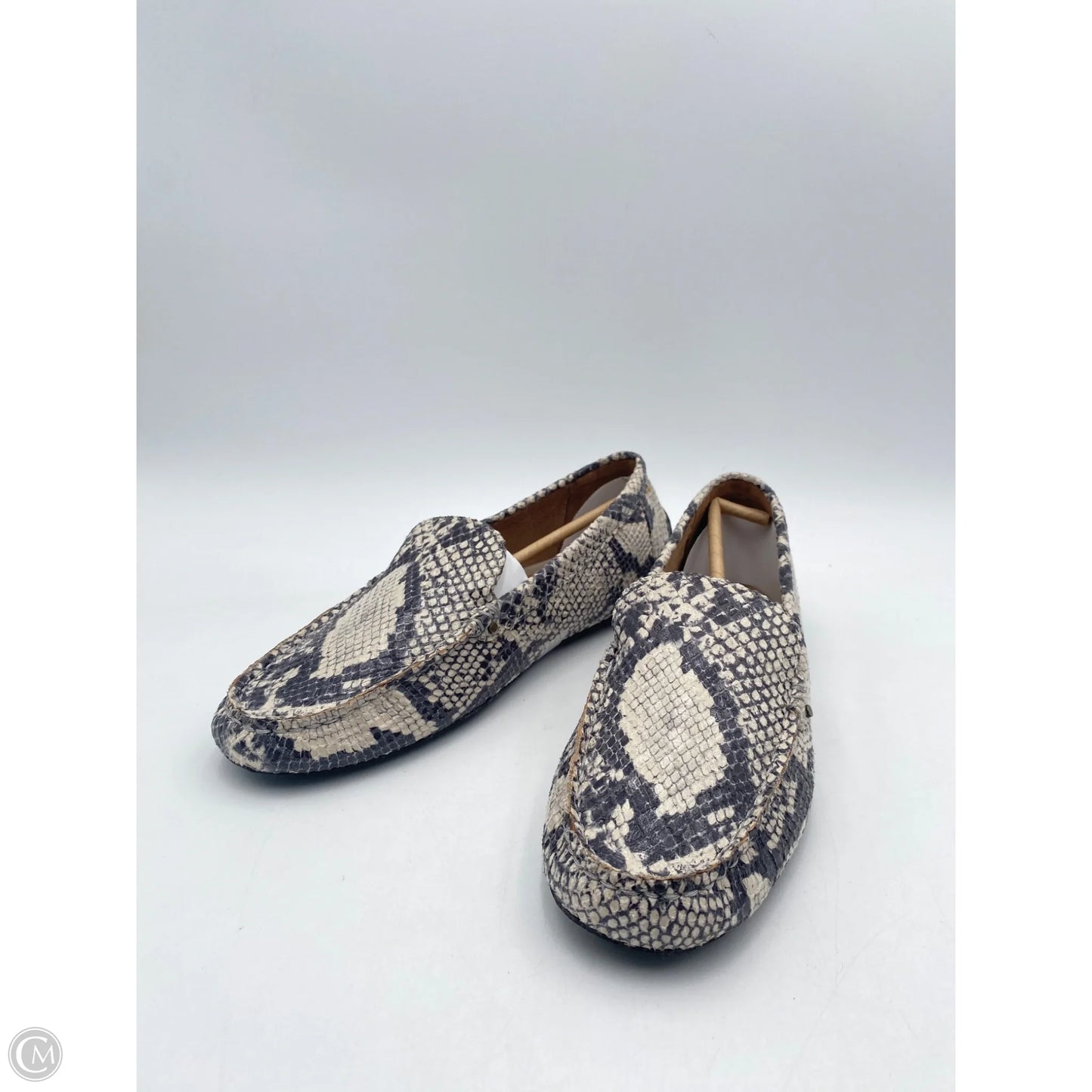 Shoes Flats By Aerosoles In Snakeskin Print, Size: 11