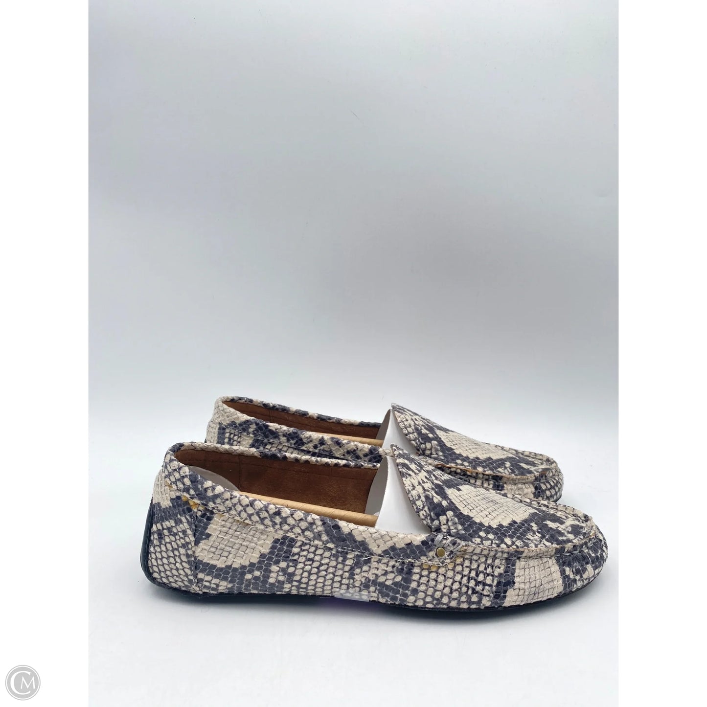 Shoes Flats By Aerosoles In Snakeskin Print, Size: 11