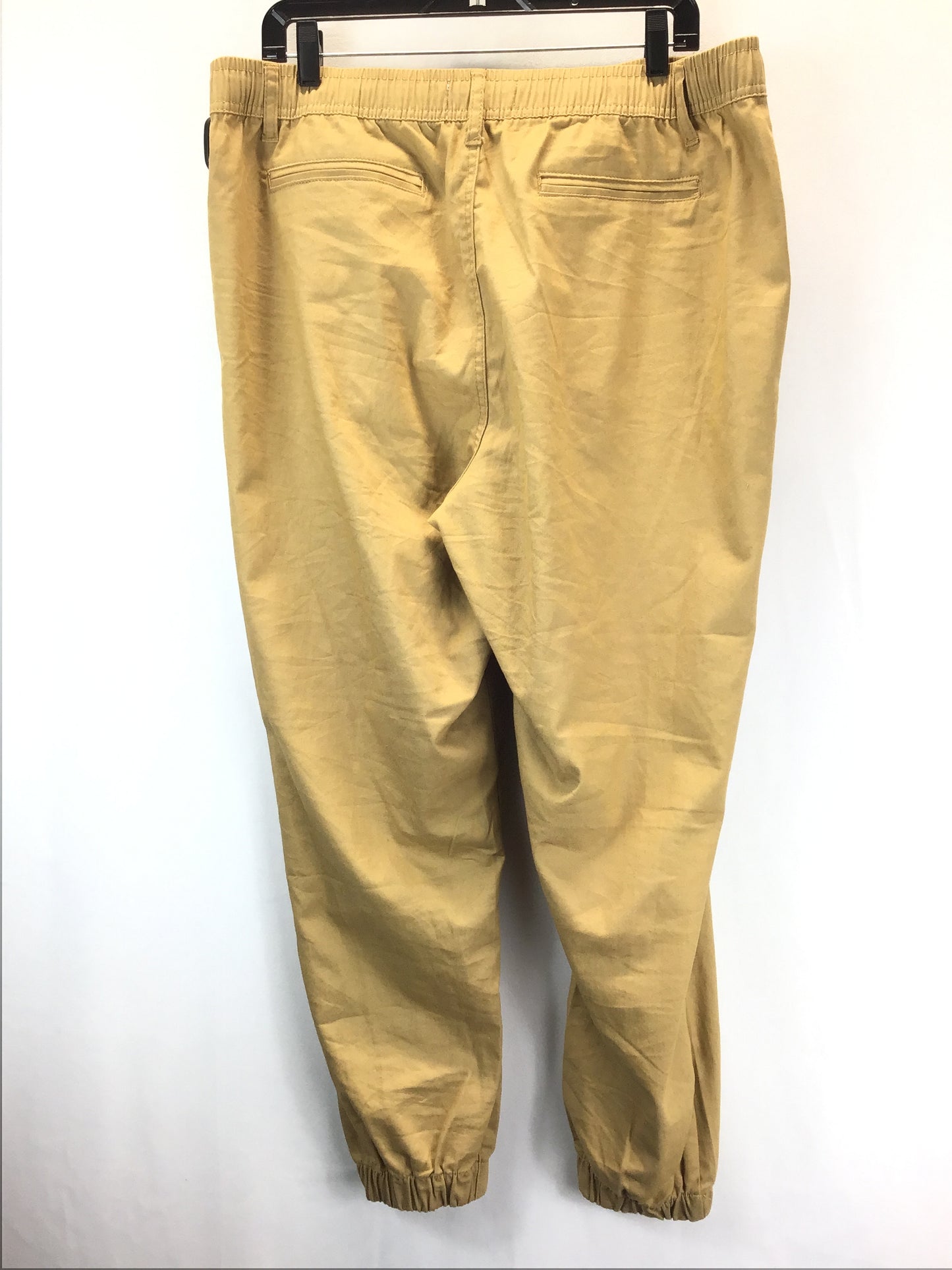 Pants Joggers By Clothes Mentor  Size: 2x